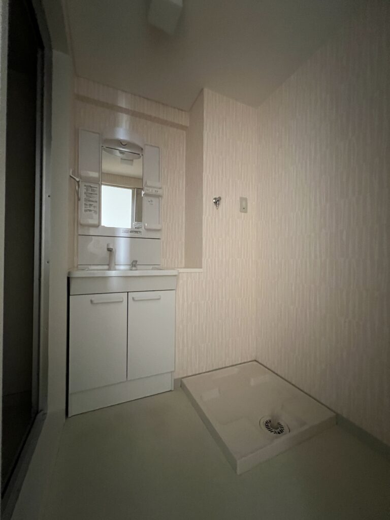 Vanity and Washing machine drain pan