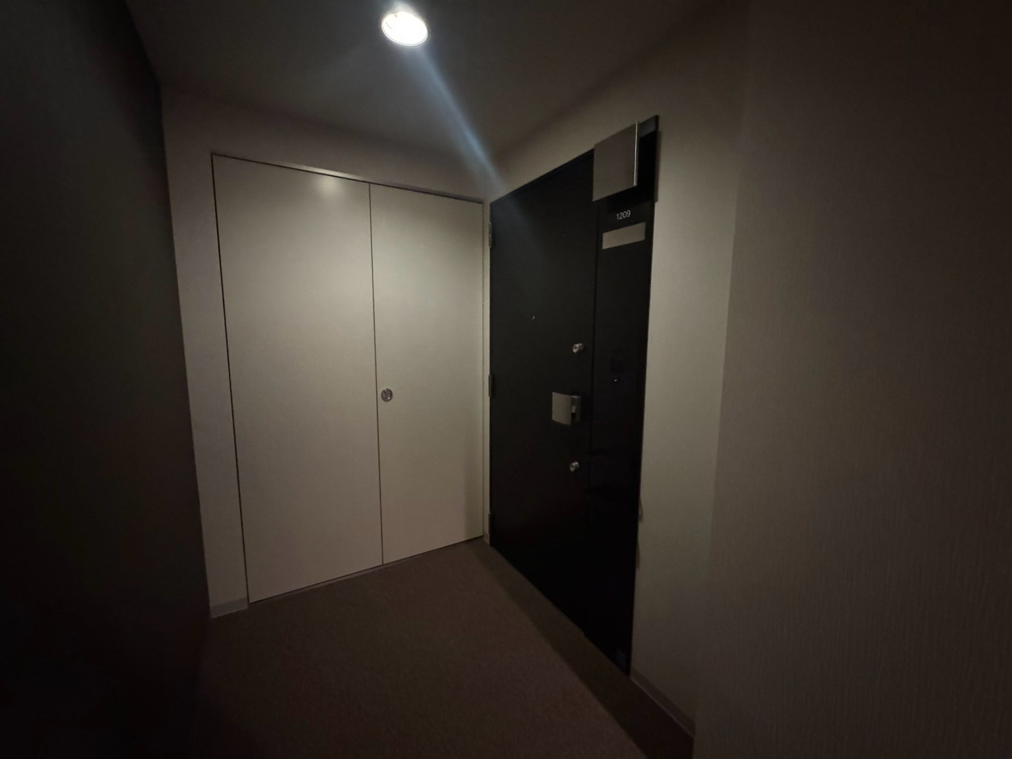 Entrance door